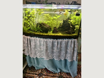 Image 1 of 9