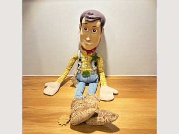 Image 1 of 8