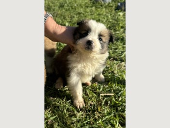 Image 1 of 18