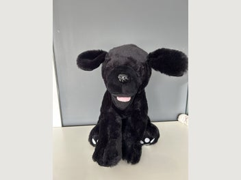 Image 1 of 1