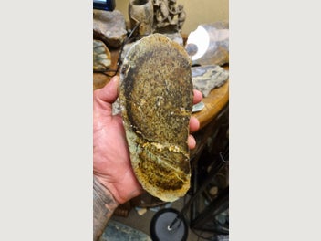 Image 1 of 6
