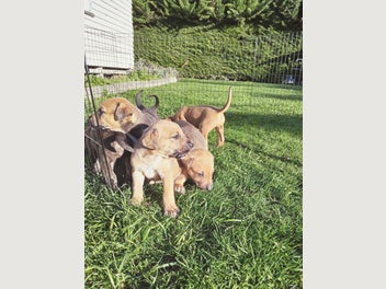 Image 1 of 6