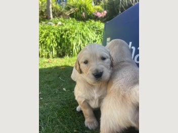 Image 1 of 19