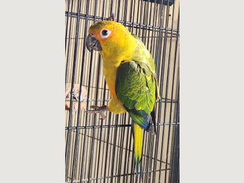 Image 1 of 2