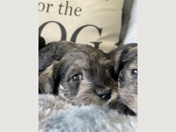 Image 1 of 20