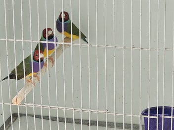 Image 1 of 4