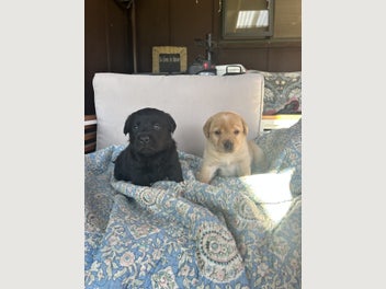 Image 1 of 12