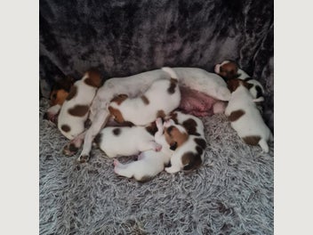Image 1 of 9