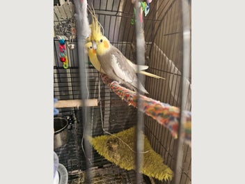 Image 1 of 6