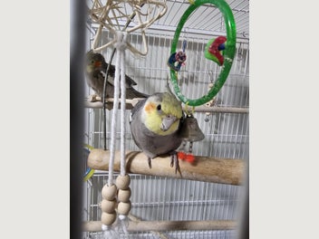 Image 1 of 6