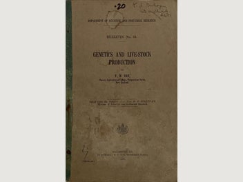 Image 1 of 11