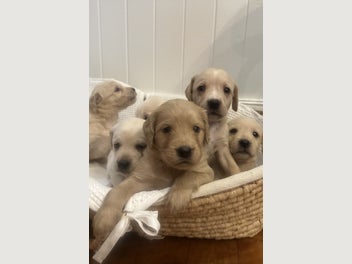 Image 1 of 16