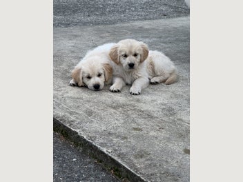 Image 1 of 13