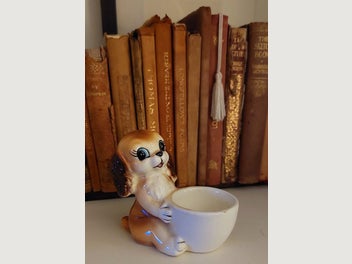 Image 1 of 8