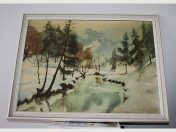 Image 1 of 13