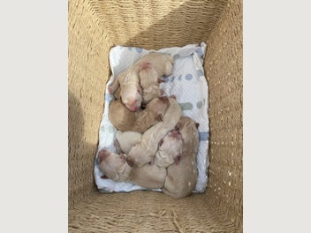 Image 1 of 8