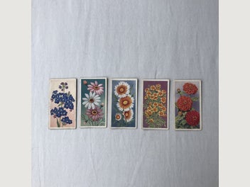 Image 1 of 8