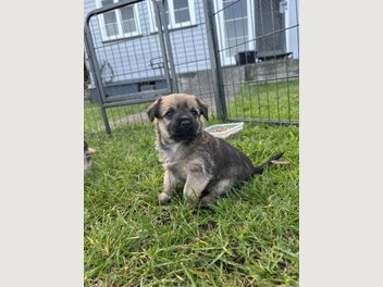 Image 1 of 8