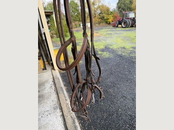 Image 1 of 11