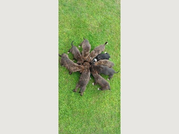 Image 1 of 19