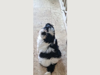 Image 1 of 6