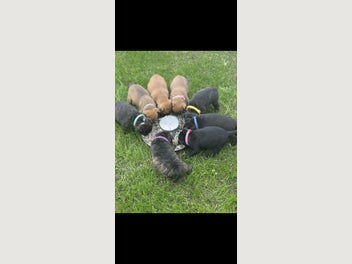 Image 1 of 17