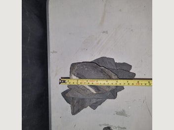 Image 1 of 7