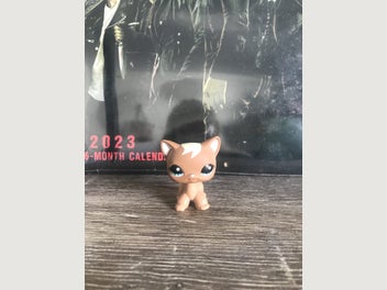 Image 1 of 3