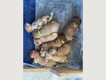 Image 1 of 8
