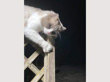 Image 1 of 12