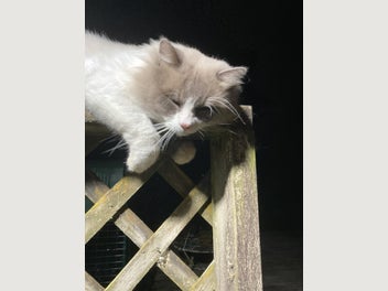Image 1 of 12