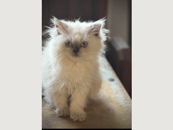 Image 1 of 20