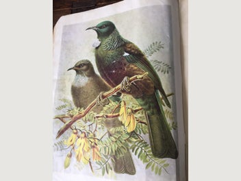 Image 1 of 3