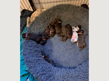 Image 1 of 19