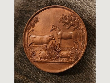 Image 1 of 5