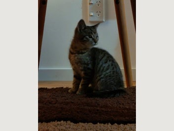 Image 1 of 4