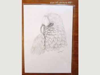 Image 1 of 7