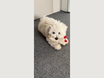 Image 1 of 20