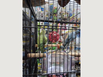 Image 1 of 7