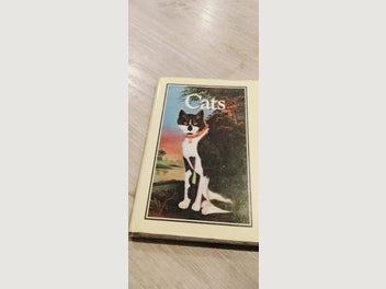 Image 1 of 8