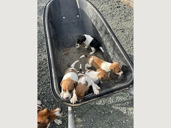 Image 1 of 10