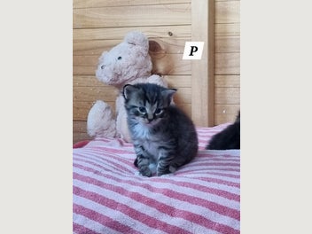 Image 1 of 14