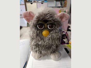 Image 1 of 5