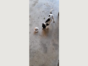 Image 1 of 9