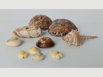 Image 1 of 14