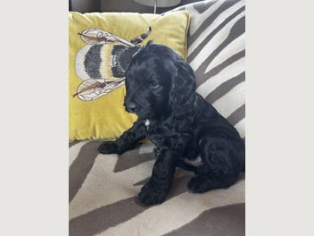 Image 1 of 20