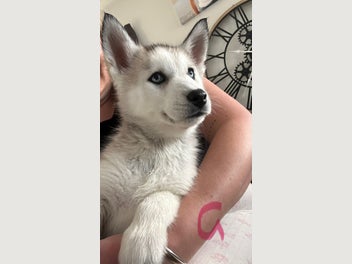 Image 1 of 14