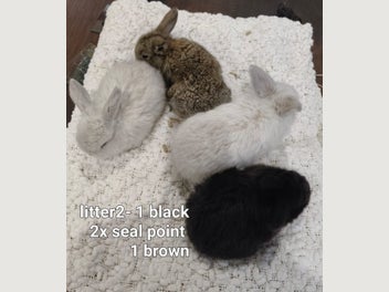 Image 1 of 12