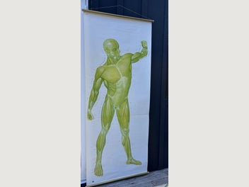 Image 1 of 7