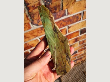 Image 1 of 9